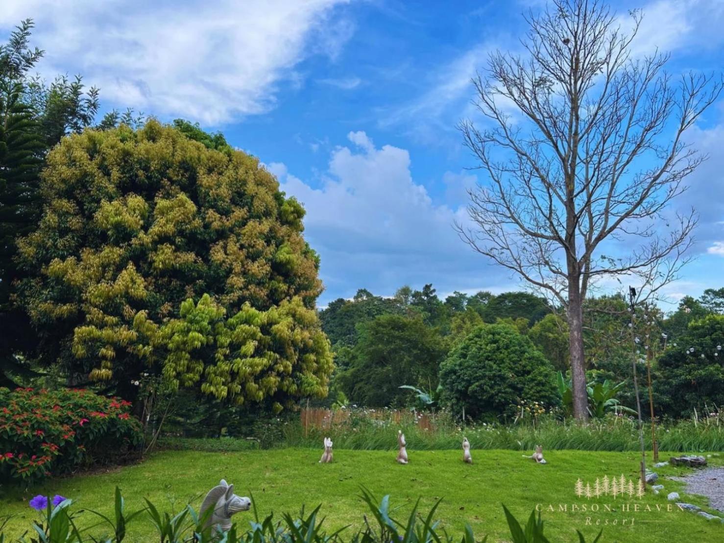 Campson Heaven Resort Khao Kho Extérieur photo